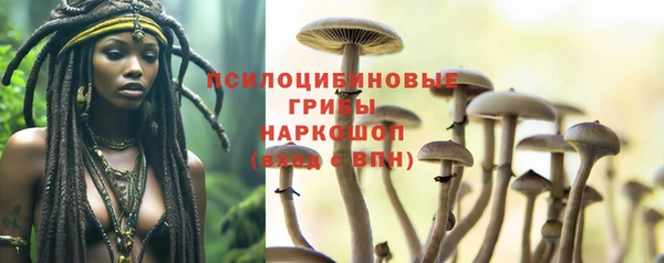 дмт Алексин