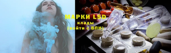 дмт Алзамай