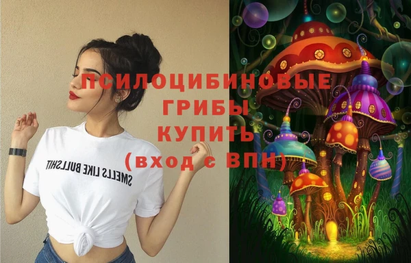 дмт Алексин