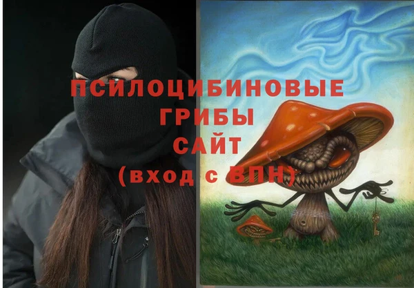дмт Алзамай