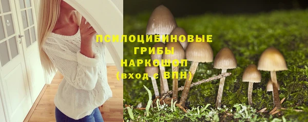 таблы Алексеевка
