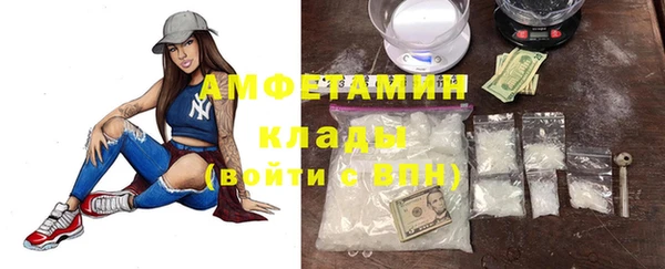 дмт Алзамай